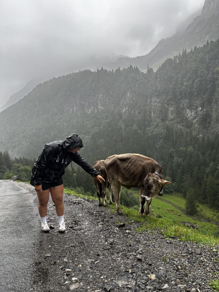 I, Christina Seabrook am wearing a black rain jacket and green shorts standing on a rainy, gravel mountain road, reaching towards a cow near the edge of a steep, forested valley with mist-covered mountains in the background.